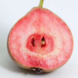 Peral de pulpa roja
